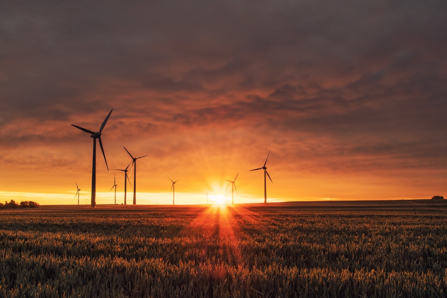 How Verde Isle Champions Environmental Justice Globally