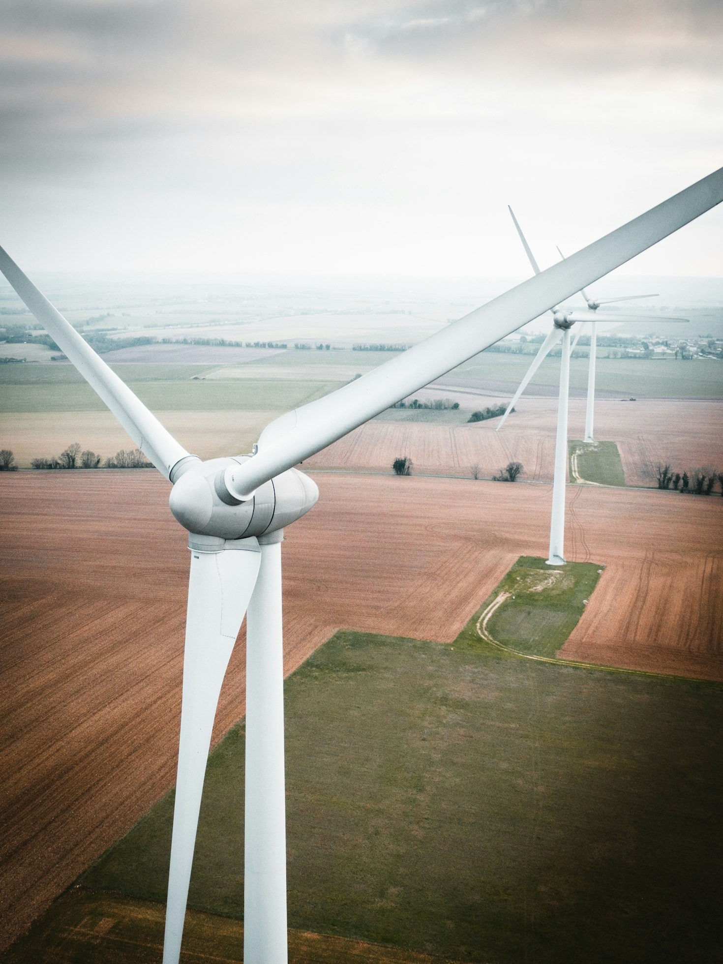Exploring Algae’s Role in Renewable Aviation Fuel